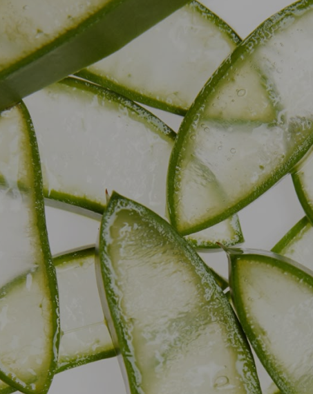 Why Natural Ingredients Are Taking Over Beauty